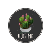 Hug Cactus