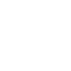Craftsman