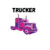 Truck driver trucker truck woman girl trucker girl