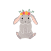 Lapins lapins