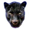 Aurora Panther Portrait Tee