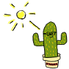Kaktus mit Sonnenlächeln