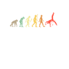 Capoeira Evolution Capoeira combattant cadeau