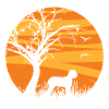 Lagotto Romagnolo sunrise silhouette