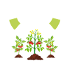 Planter des tomates - humour cadeau