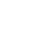 Italian Spinone