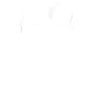 Heartbeat Shetland Sheepdog