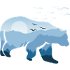 Bear Nature Wilderness