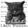 Cat hates humans