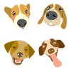 joli chien mignon