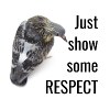 Show some RESPECT
