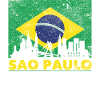 Sao Paulo City Travel Brazil