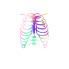Radiology