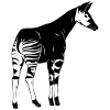 okapi