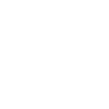 Surveyor heartbeat