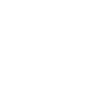 Surveyor voice