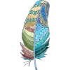 Feather