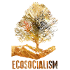 Ecosocialism