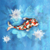 Koi carp with lotus flowers
