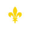 Lily flower
