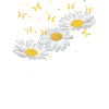 Daisies, flowers, summer