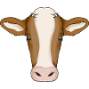 Vaca cara de vaca vaca retrato cabeza