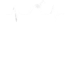 Cher Whippet Heartbeat