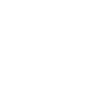 Soft Coated Wheaten Terrier