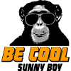 Chimpanzee - monkey