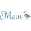 Moin Seagull