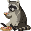Procione mangia pizza
