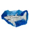 shark