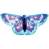 moth