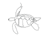 One line art drawn turtle