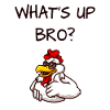 funny hen