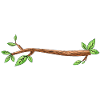 branch tree drawing leaf