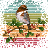 Bunter Vogel