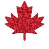 Maple Leaf - Shamrocks pattern