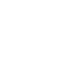 Cat brain