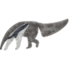Anteater