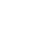 Bachelor Lizenz