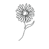Een lijntekening Zonnebloem Single Art