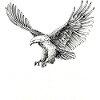 Ride the Wind Eagle
