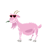 Vuohi vuohi
