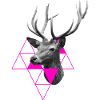 Hirsch Design Geschenke
