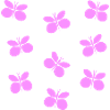 Schmetterlinge