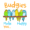 Budgerigar Parakeets Birds