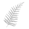Fern Maori