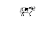 vache