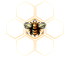 Bee Honeycomb Beekeeper Beekeeping